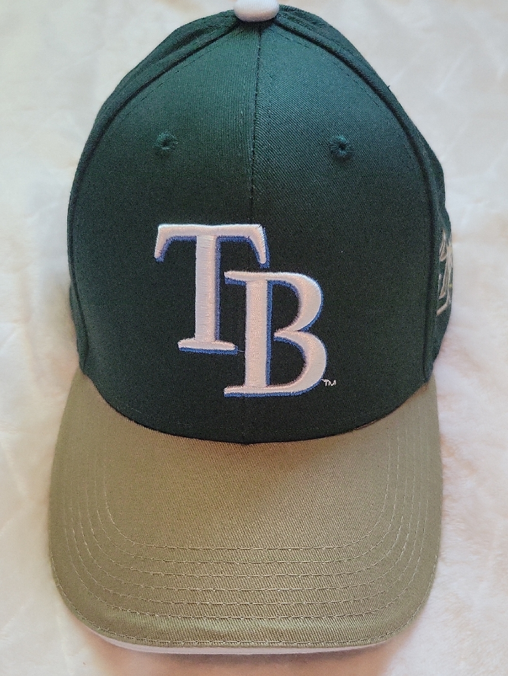 Tampa Bay Rays X USF Bulls Baseball Cap